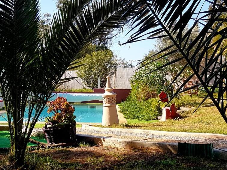 Morphee Valdareina, Piscine Chauffee, Benagil-Carvoeiro Διαμέρισμα Καρβοέιρο Εξωτερικό φωτογραφία