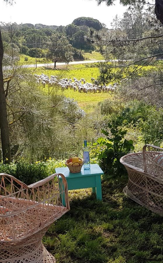Morphee Valdareina, Piscine Chauffee, Benagil-Carvoeiro Διαμέρισμα Καρβοέιρο Εξωτερικό φωτογραφία